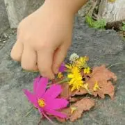 たえの画像
