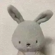 ちかさんの画像