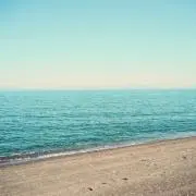 かじの画像