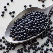 黒レンズ豆太郎