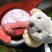 ⭐︎メタもるふぉーぜBもん⭐︎の画像