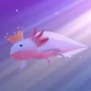 hiの画像
