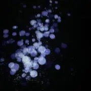 Yu