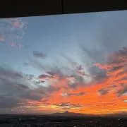 リンリン発送中止期間:7/19ー8/19の画像