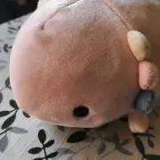 ちいの画像