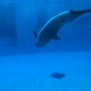 あお【プロフ必読】の画像