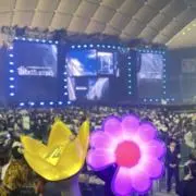 ミミの画像