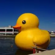 ばななしぇいくの画像