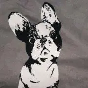 teru-ruの画像
