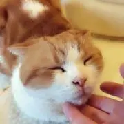 まみママ♪