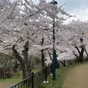 さっちゃん