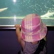 みき