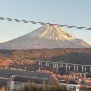 イブ1989の画像