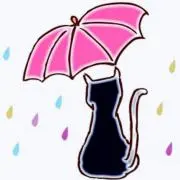 小雨の画像