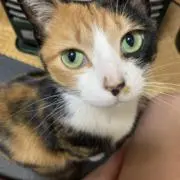 ゆちお