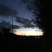ミッキーアドマイヤの画像