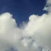 嘉陽