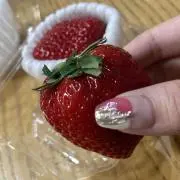 asの画像
