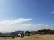 ぽちの画像