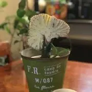 メイメイの画像