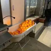 まるいこの画像