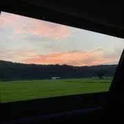 Yの画像