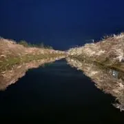 桜庵★の画像