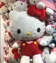 かおりんの画像