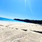 愛彩