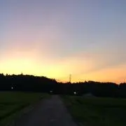 ele