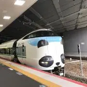 もんちゃんの画像