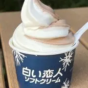 LIGHTの画像