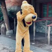 ysの画像