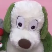 yucaの画像
