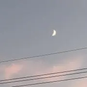 ヒビキ