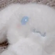 ripの画像