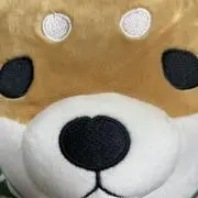 さくらの画像