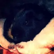 もんじゃ♪