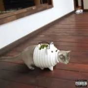 羅生門の画像