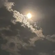 Rの画像