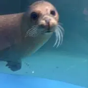 289の画像