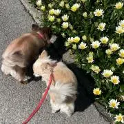 じみんちゃん