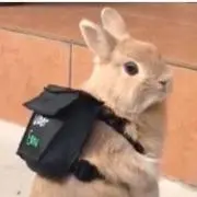 あきぼうや