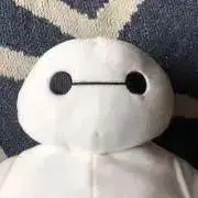 tnfの画像