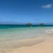 ytの画像