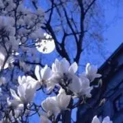 うーろんてぃ(梱包についてはプロフに)