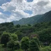 ぺーた