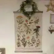 Anmamamaの画像