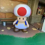 りーりーちゃんの画像