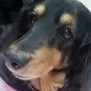 Ken